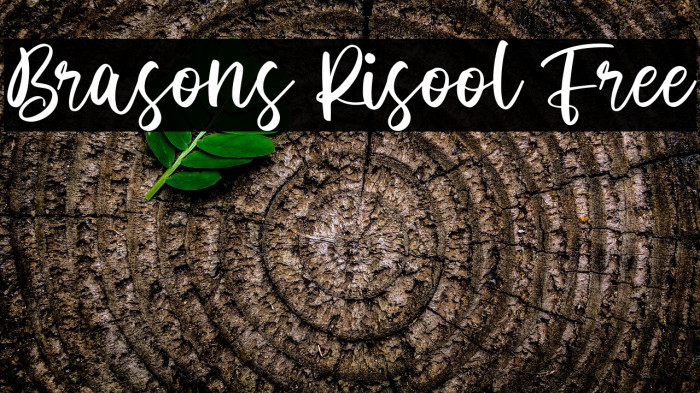 Brasons Risool Free Example 1