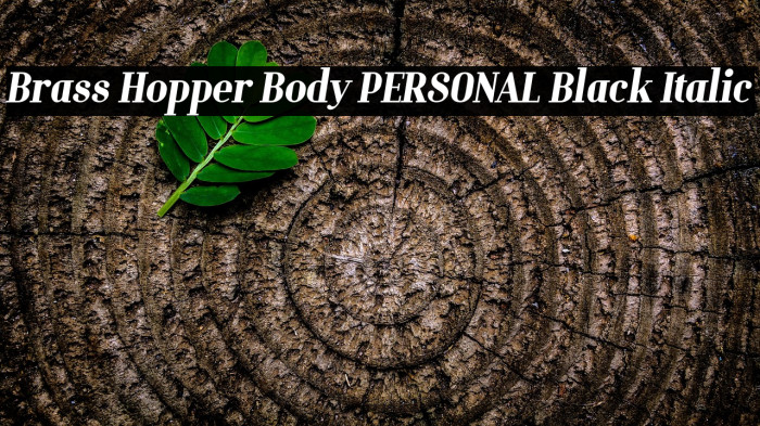 Brass Hopper Body PERSONAL Black Italic Example 3