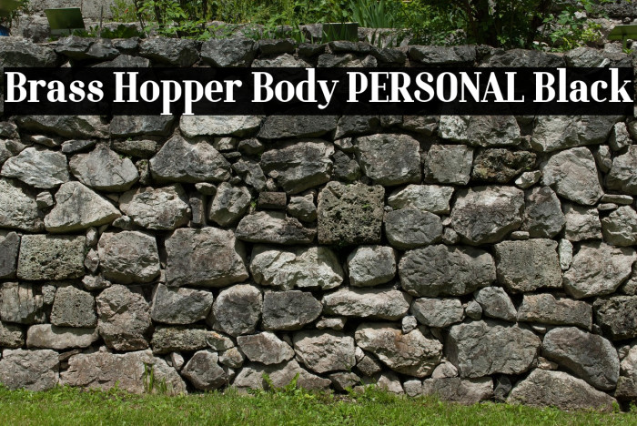 Brass Hopper Body PERSONAL Black Example 3