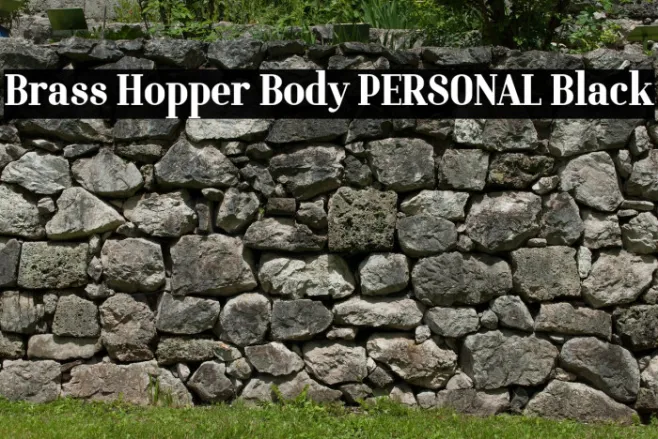 Brass Hopper Body PERSONAL Black Example 3