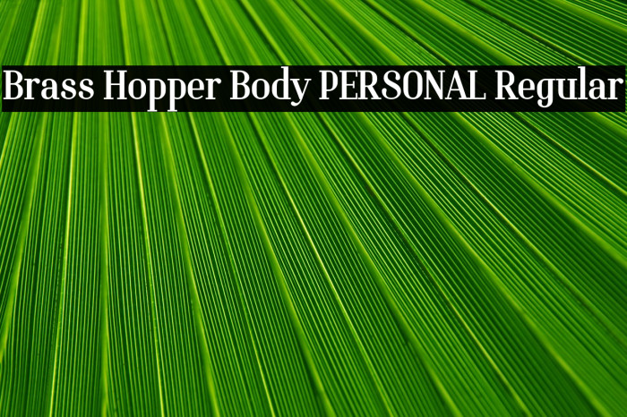 Brass Hopper Body PERSONAL Regular Example 1