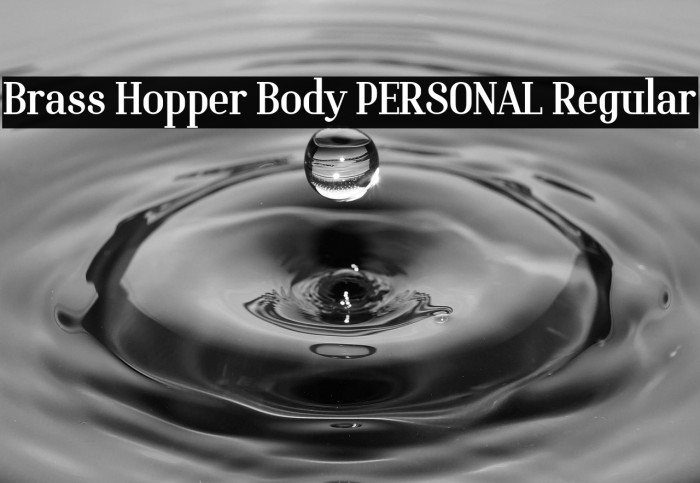 Brass Hopper Body PERSONAL Regular Example 3