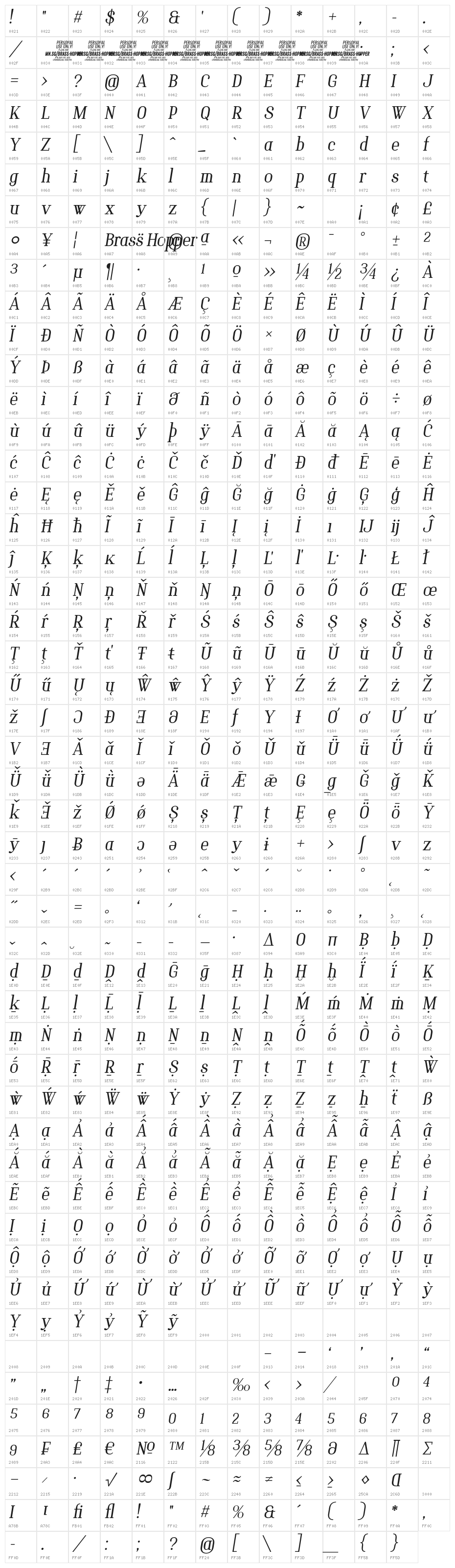 Brass Hopper Body PERSONAL Thin Italic Character Map