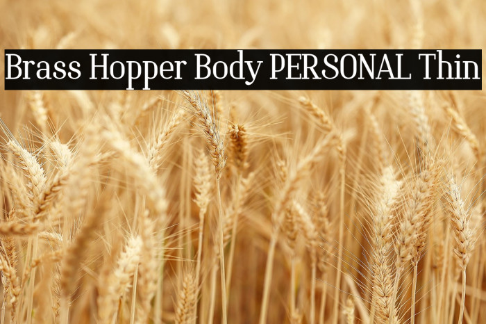 Brass Hopper Body PERSONAL Thin Example 3