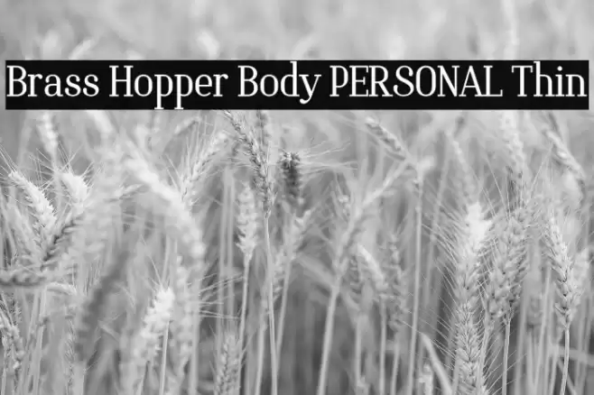 Brass Hopper Body PERSONAL Thin Font examples