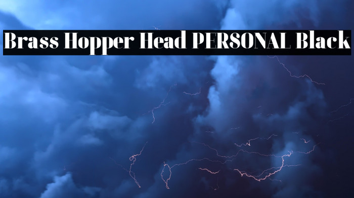 Brass Hopper Head PERSONAL Black Example 1