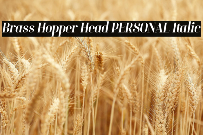 Brass Hopper Head PERSONAL Italic Example 3