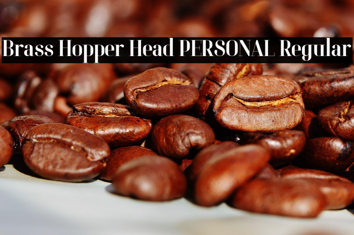 Brass Hopper Head PERSONAL Regular Example 1