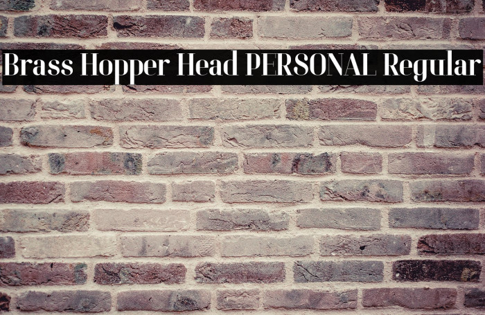 Brass Hopper Head PERSONAL Regular Example 2