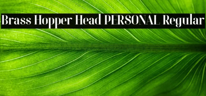 Brass Hopper Head PERSONAL Regular Example 3