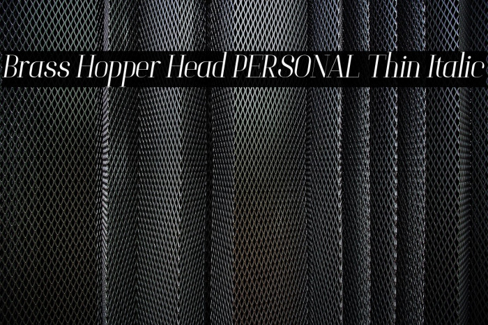 Brass Hopper Head PERSONAL Thin Italic Example 1