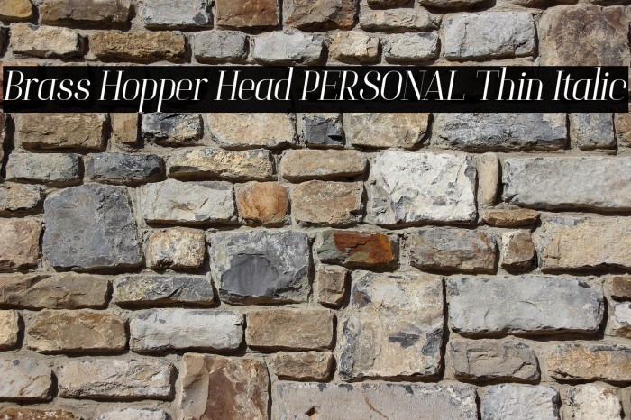 Brass Hopper Head PERSONAL Thin Italic Example 2