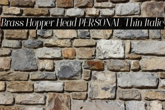 Brass Hopper Head PERSONAL Thin Italic Example 2