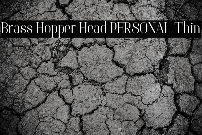 Brass Hopper Head PERSONAL Thin Example 1