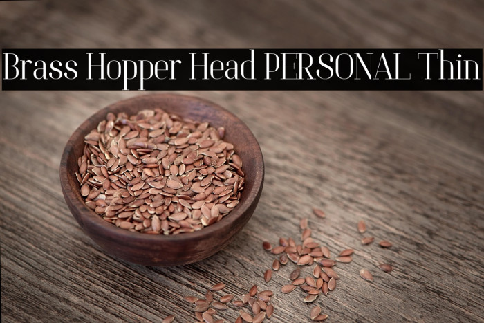 Brass Hopper Head PERSONAL Thin Example 2