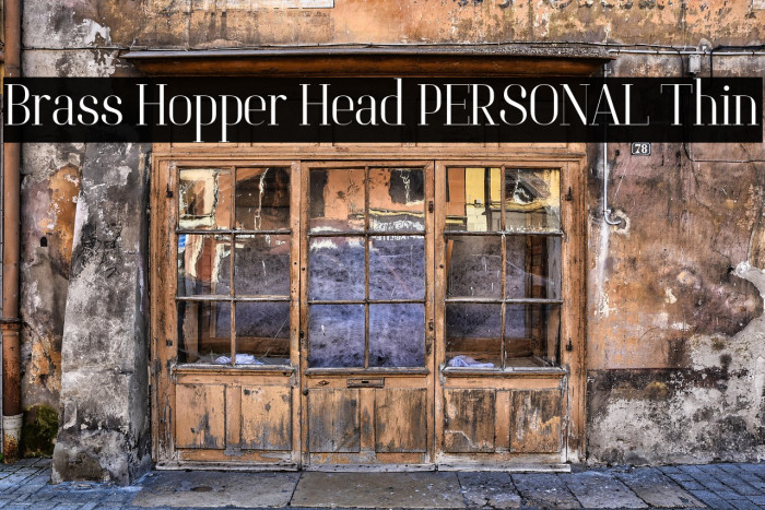 Brass Hopper Head PERSONAL Thin Example 3