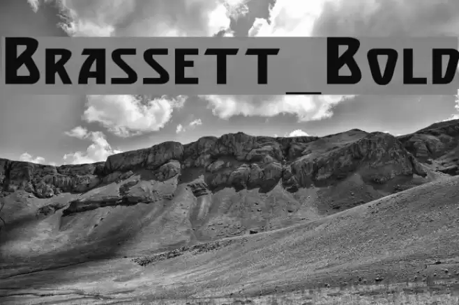 Brassett_Bold Font examples