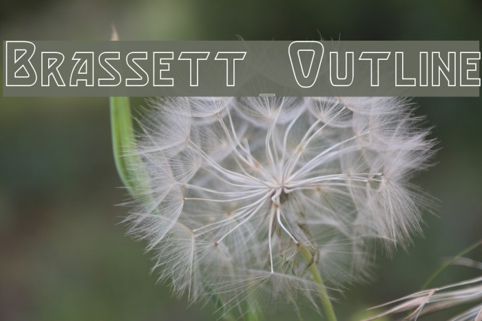 Brassett_Outline Font examples
