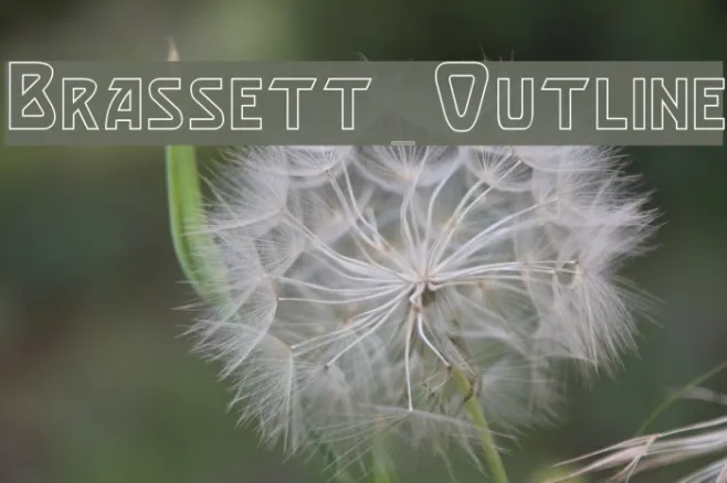 Brassett_Outline Example 2