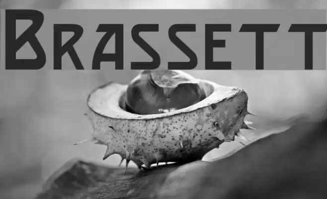 Brassett Font examples