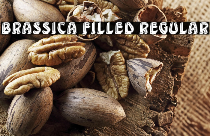 Brassica Filled Regular Example 2