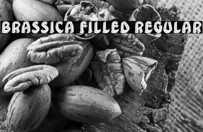 Brassica Filled Regular Font examples