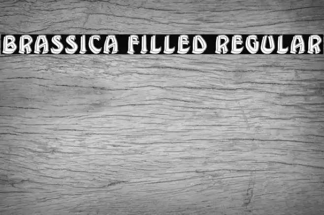 Brassica Filled Regular Font examples