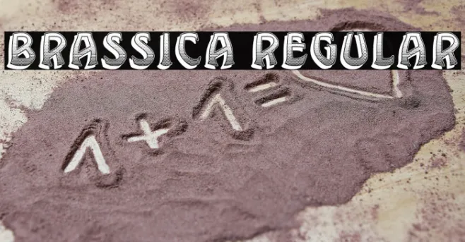 Brassica Regular Example 1
