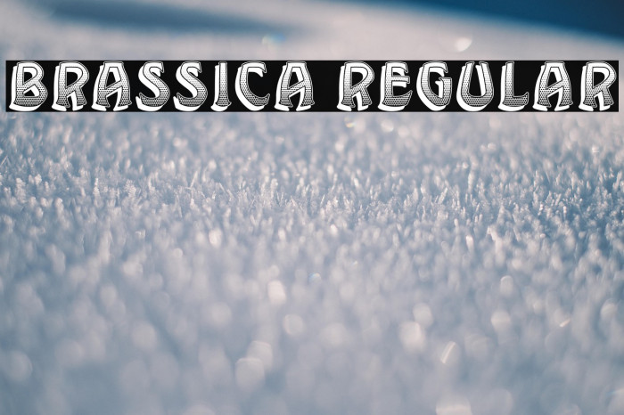 Brassica Regular Example 2