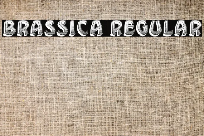 Brassica Regular Example 3