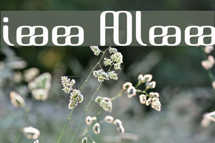 Brassiere Alternates Font examples