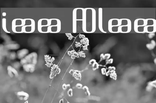 Brassiere Alternates Schriftart examples