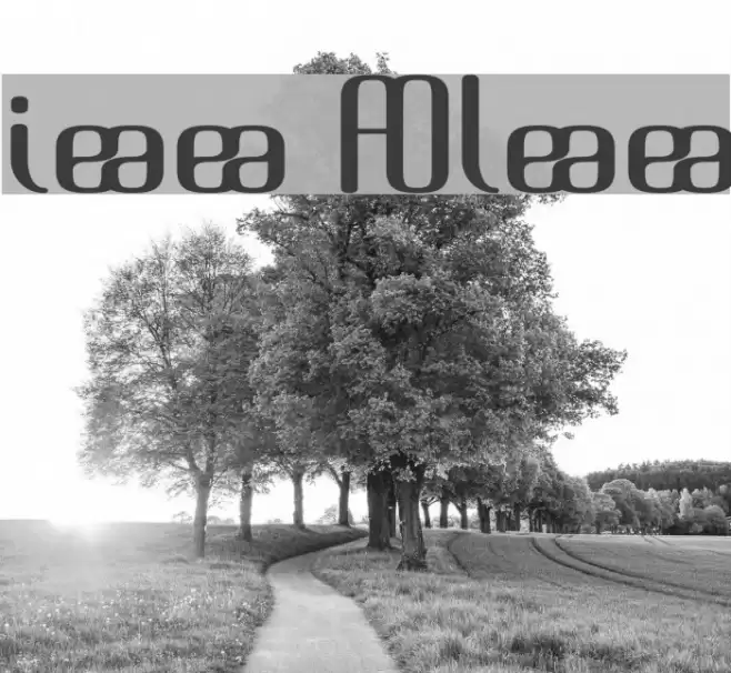 Brassiere Alternates Schriftart examples