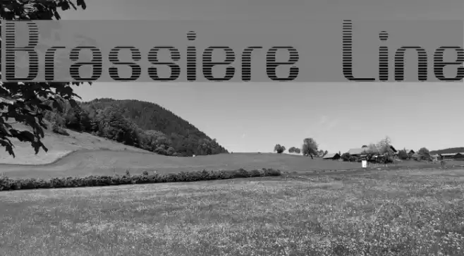 Brassiere Line Font examples