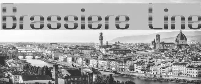 Brassiere Line Font examples