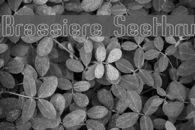 Brassiere Seethru Fonte examples