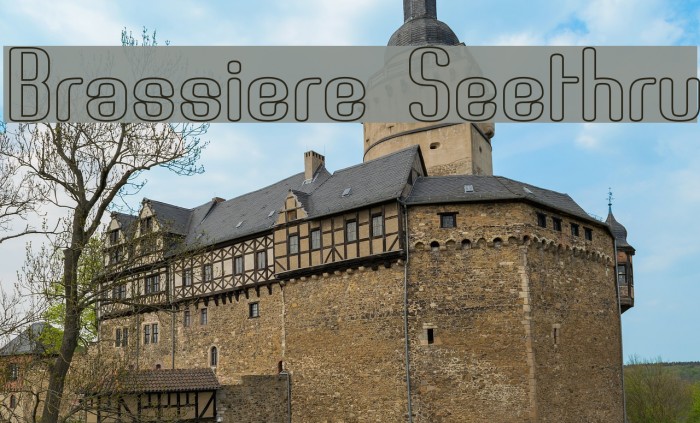 Brassiere Seethru Font examples