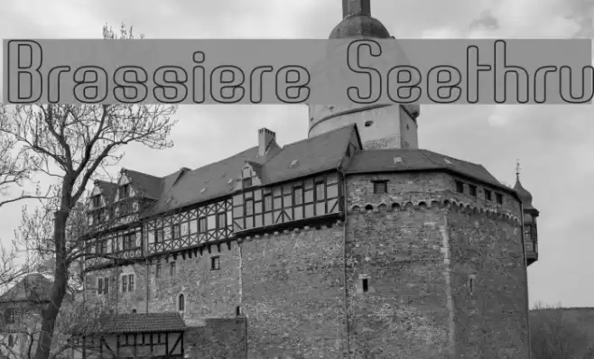 Brassiere Seethru Fonte examples