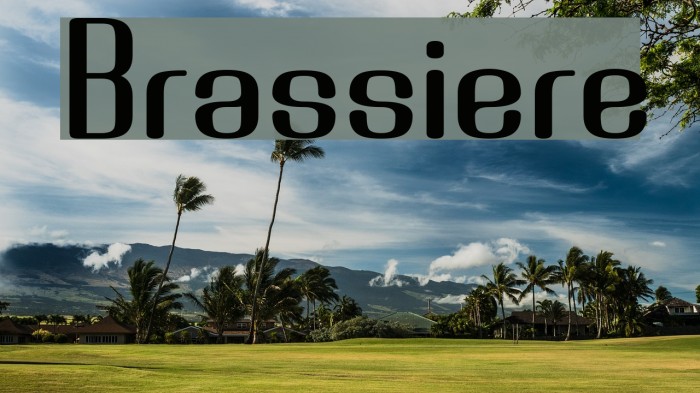 Brassiere Font examples