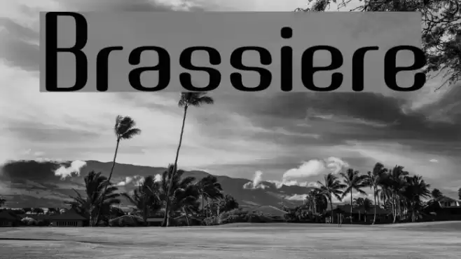 Brassiere Polices examples