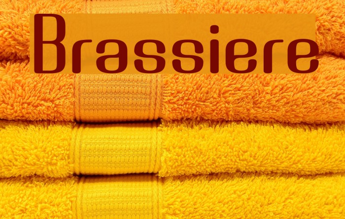 Brassiere Font examples