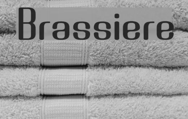 Brassiere Polices examples