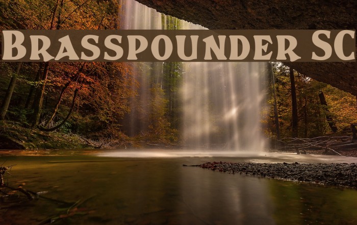 Brasspounder SC Example 3