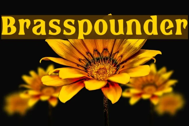 Brasspounder Example 1