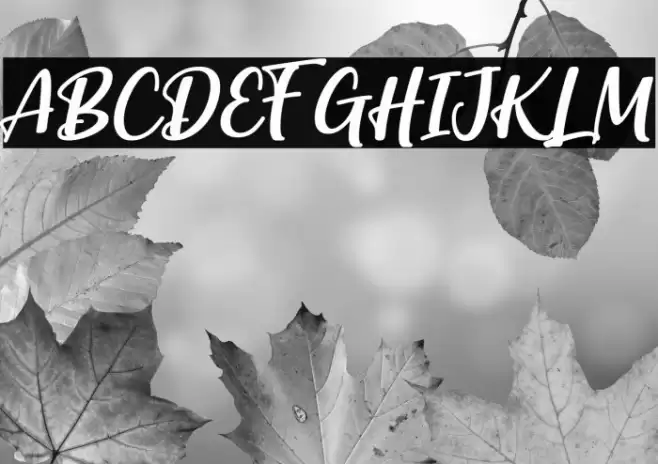 Brastagi Font examples