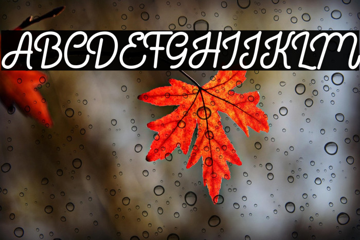 Bratas Rounded Example 3