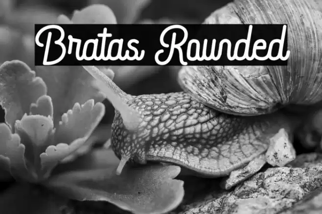 Bratas Rounded Font examples