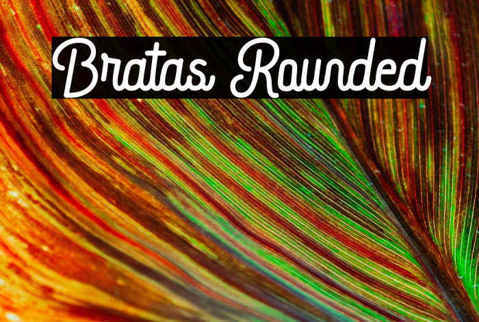 Bratas Rounded Example 2