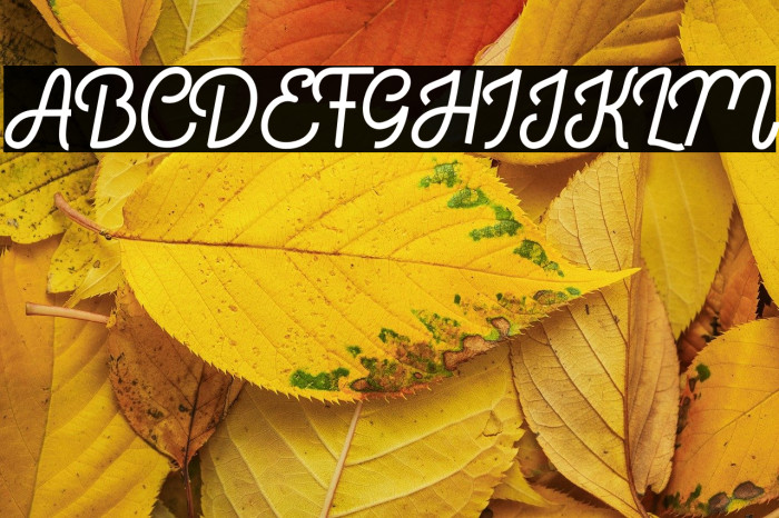 Bratas flat Example 1