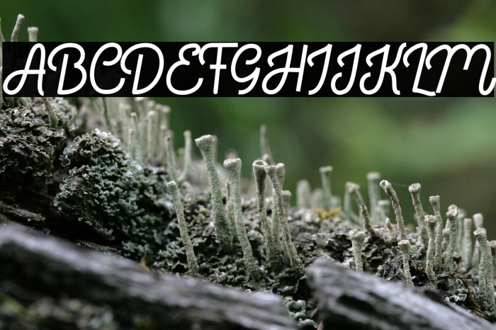 Bratas flat Example 3